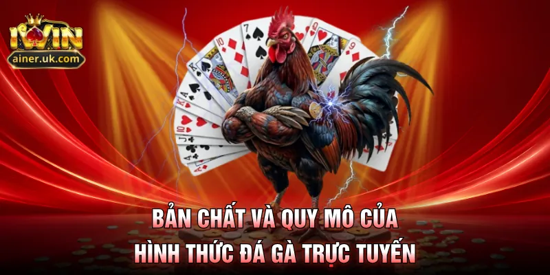 Bản chất và quy mô của hình thức đá gà trực tuyến