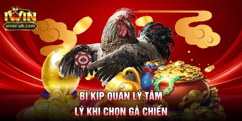 Bí kíp quản lý tâm lý khi chọn gà chiến
