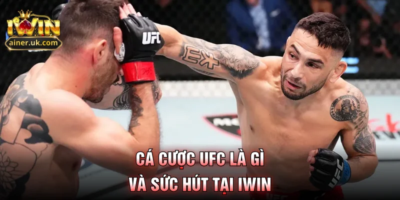 Cá cược UFC là gì và sức hút tại IWIN