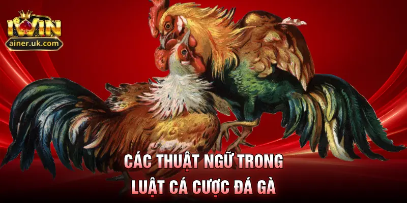 Các thuật ngữ trong luật cá cược đá gà