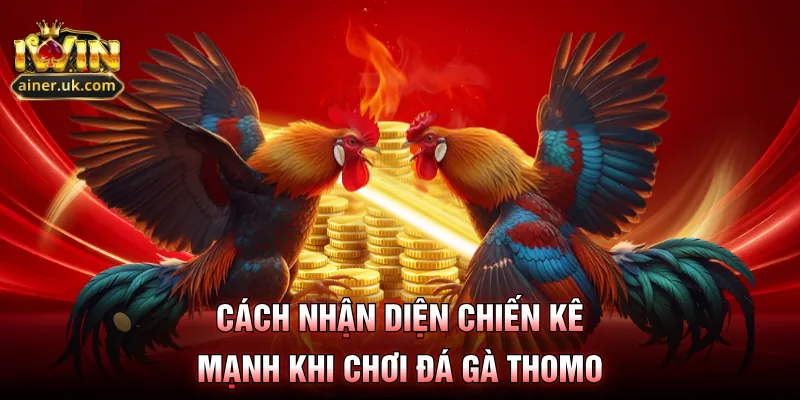 Cách nhận diện chiến kê mạnh khi chơi đá gà Thomo