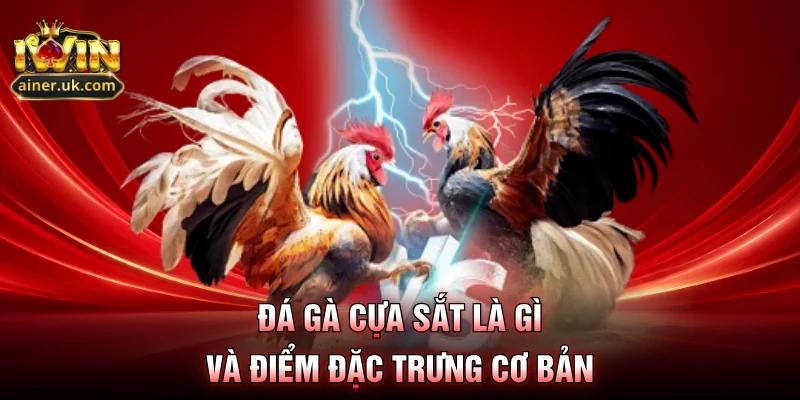 Đá gà cựa sắt là gì và điểm đặc trưng cơ bản