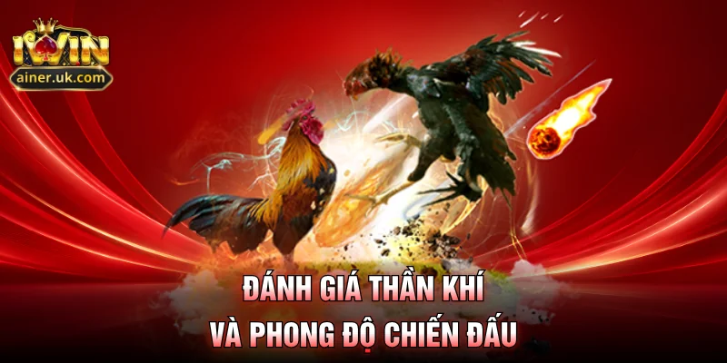 Đánh giá thần khí và phong độ chiến đấu