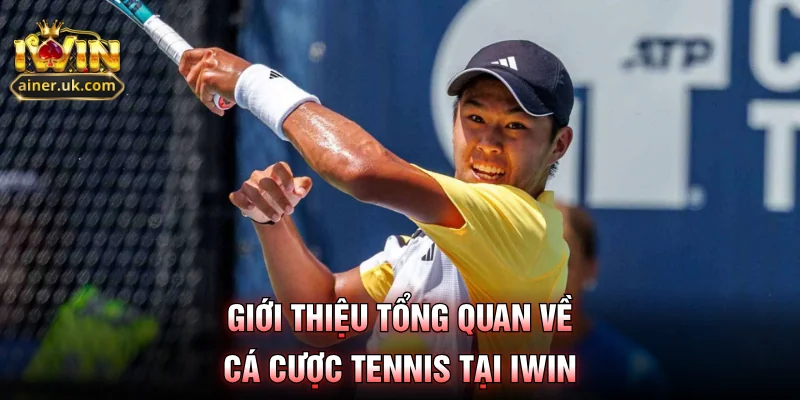 Giới thiệu tổng quan về cá cược tennis tại IWIN