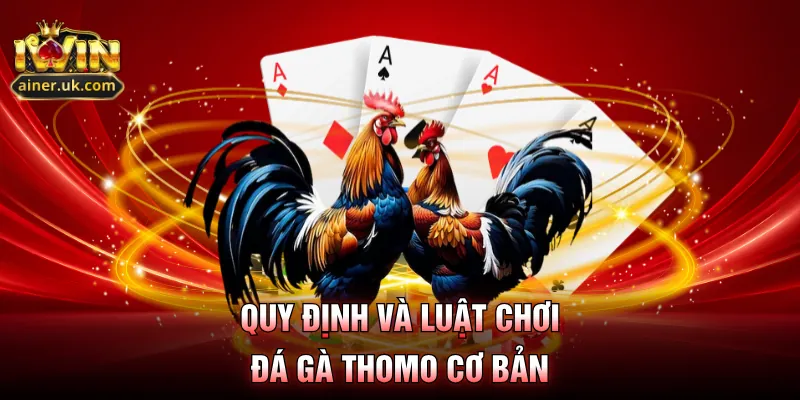 Quy định và luật chơi đá gà Thomo cơ bản
