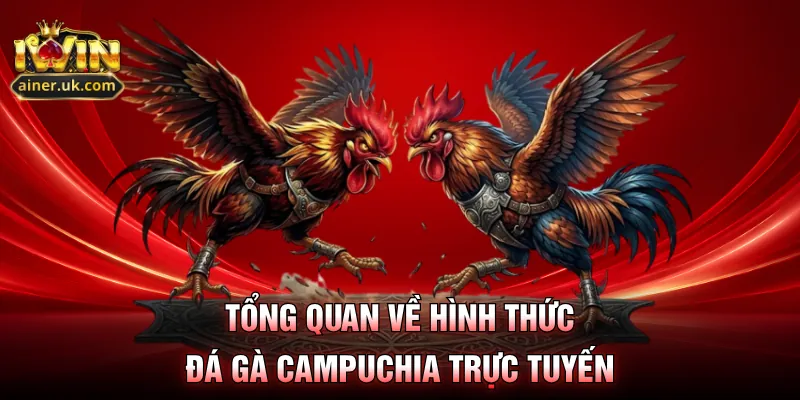 Tổng quan về hình thức đá gà Campuchia trực tuyến