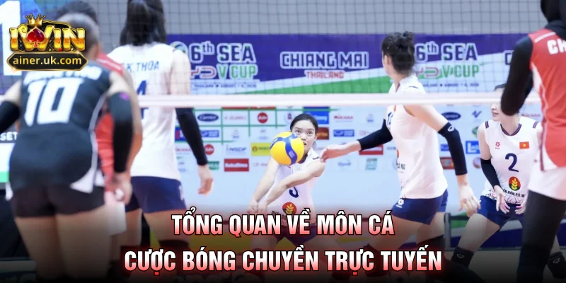 Tổng quan về môn cá cược bóng chuyền trực tuyến